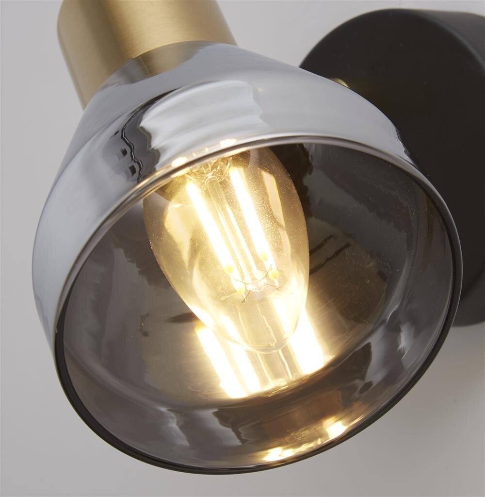Searchlight sienas lampa Westminster 23801-1SM цена и информация | Sienas lampas | 220.lv