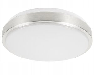 Led-lux griestu lampa, balta cena un informācija | Griestu lampas | 220.lv