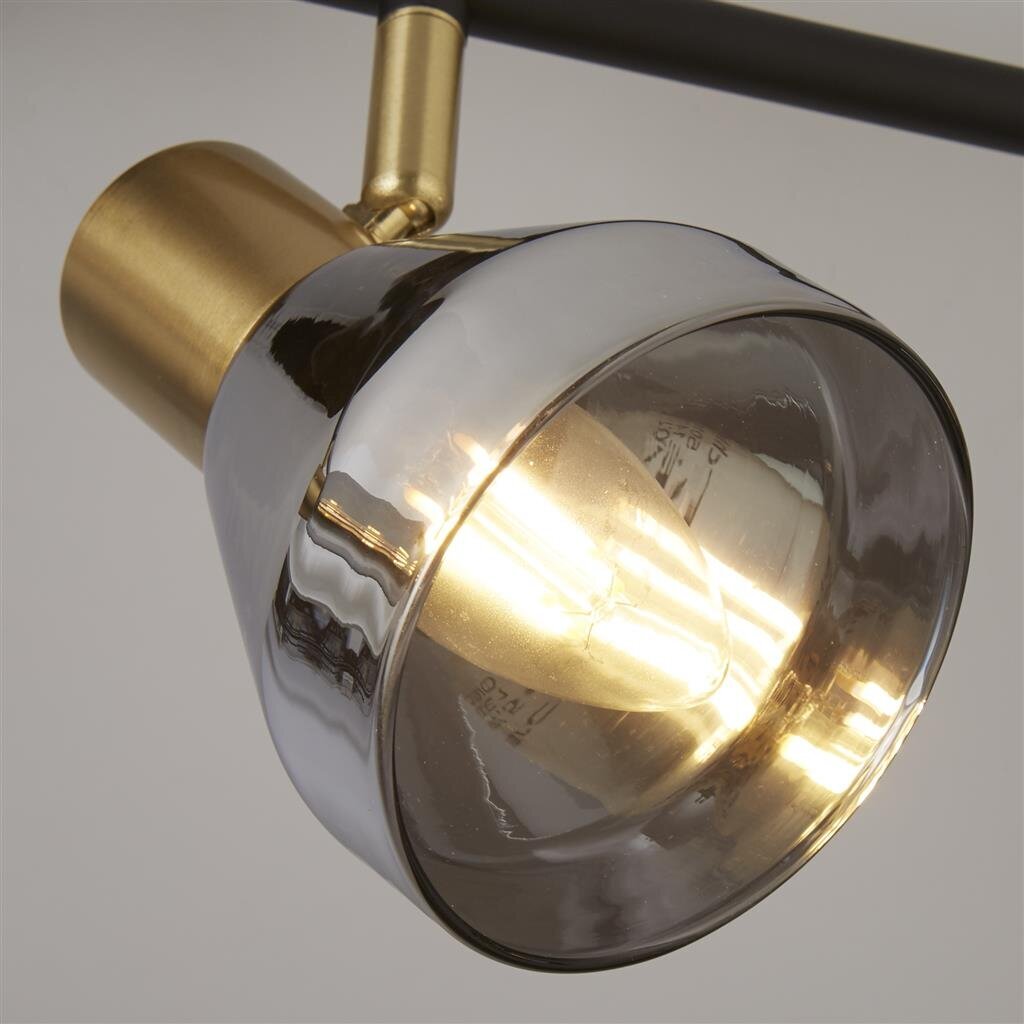 Searchlight griestu lampa Westminster 23801-4SM cena un informācija | Griestu lampas | 220.lv