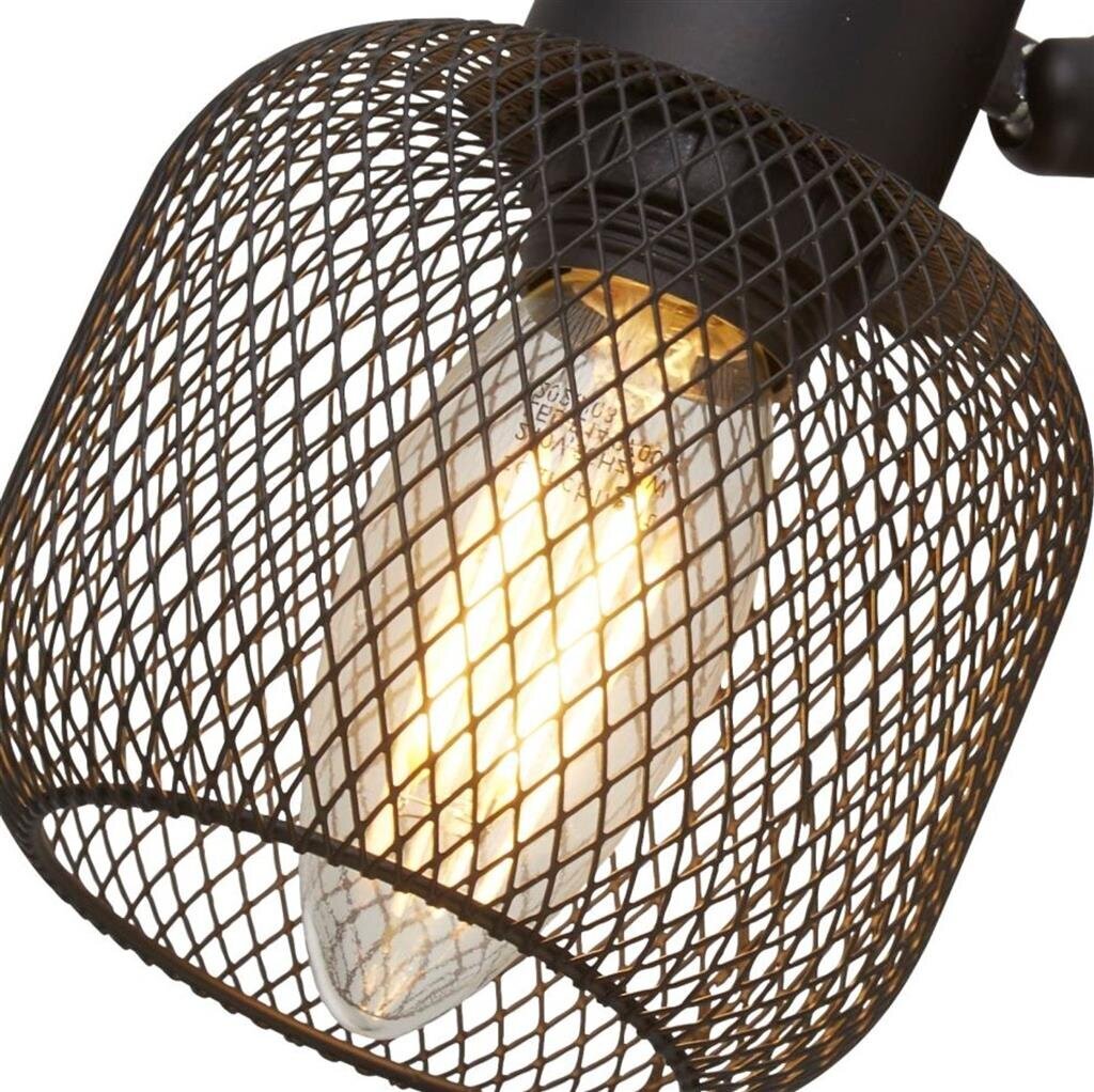 Searchlight griestu lampa Meshy Cage 81201-4BK цена и информация | Griestu lampas | 220.lv