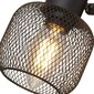 Searchlight griestu lampa Meshy Cage 81201-4BK цена и информация | Griestu lampas | 220.lv