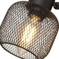 Searchlight griestu lampa Meshy Cage 81201-4BK cena un informācija | Griestu lampas | 220.lv