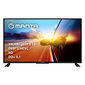 Manta 39LHN120TP цена и информация | Televizori | 220.lv