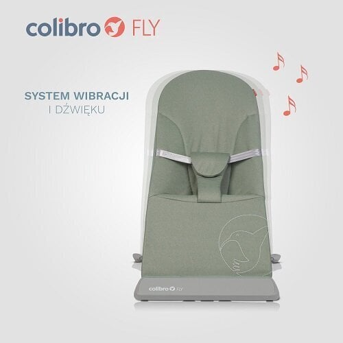 Šūpuļkrēsliņš Colibro Fly Jungle, green cena un informācija | Bērnu šūpuļkrēsliņi | 220.lv