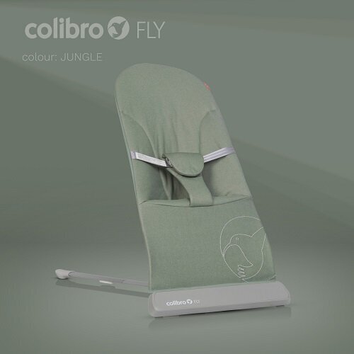 Šūpuļkrēsliņš Colibro Fly Jungle, green цена и информация | Bērnu šūpuļkrēsliņi | 220.lv