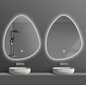 LED sienas spogulis Rock, 80x60cm, sudrabains cena un informācija | Vannas istabas spoguļi | 220.lv