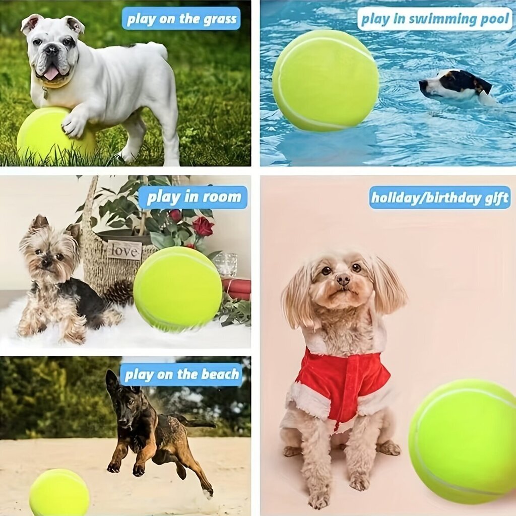 Spēļu bumba suņiem Smurf, 24 cm cena un informācija | Suņu rotaļlietas | 220.lv