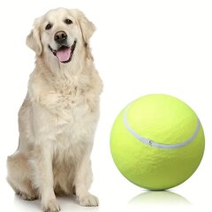 Игровой мяч для собак Smurf, 24 см цена и информация | Игрушки для собак | 220.lv