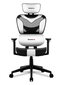 Huzaro Combat 8.0 spēļu krēsls cena un informācija | Biroja krēsli | 220.lv