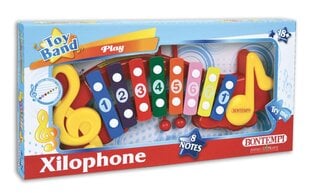 Ксилофон Bontempi цена и информация | Развивающие игрушки | 220.lv