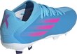 Futbola apavi bērniem Adidas X Speedflow.3 FG J, 29. izmērs, zili cena un informācija | Futbola apavi | 220.lv