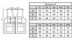 Жилет мужской Olympina ST3 цена и информация | Мужские жилетки | 220.lv