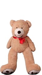 Большой плюшевый медведь, 160 см цена и информация | Мягкие игрушки | 220.lv