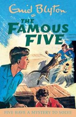 Famous Five: Five Have A Mystery To Solve: Book 20 цена и информация | Книги для подростков и молодежи | 220.lv