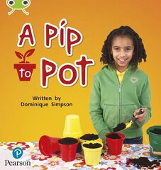 Bug Club Phonics - Phase 2 Unit 3: A Pip to Pot цена и информация | Книги для подростков и молодежи | 220.lv