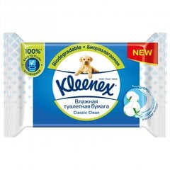 Kleenex влажная туалетная бумага, 42 шт., 6 шт. цена и информация | Туалетная бумага, бумажные полотенца | 220.lv