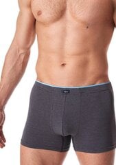 Нижнее белье 495430 цена и информация | Men's pants l | 220.lv