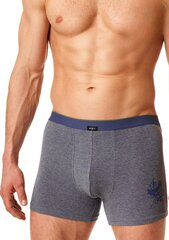 Нижнее белье 591424 цена и информация | Men's pants l | 220.lv