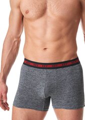 Нижнее белье 75043 цена и информация | Men's pants l | 220.lv