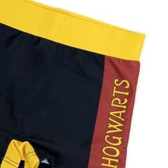 плавки-шорты для мальчиков Harry Potter Разноцветный цена и информация | Плавки для мальчиков | 220.lv