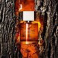Parfimērijas ūdens Yves Saint Laurent L`Homme EDP vīriešiem, 60 ml цена и информация | Vīriešu smaržas | 220.lv