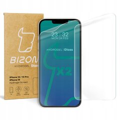 Bizon iPhone 14 / 13 / 13 Pro цена и информация | Защитные пленки для телефонов | 220.lv