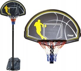 Basketbola dēlis ar statīvu Master Street 305, 112x72 cm цена и информация | Баскетбольные щиты | 220.lv