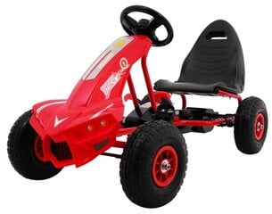Детский картинг с педалями Champion, красный цена и информация | Конструктор автомобилей игрушки для мальчиков | 220.lv
