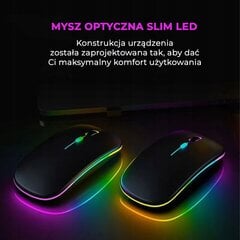 Беспроводная оптическая мышь с эстетически привлекательной светодиодной RGB-подсветкой цена и информация | Мыши | 220.lv