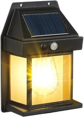 Saules sienas gaismeklis ar kustības sensoru Flintronic цена и информация | Уличное освещение | 220.lv