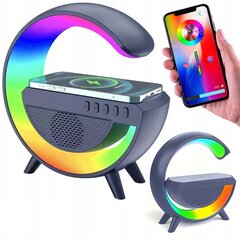 RGB светодиодный свет с динамиком цена и информация | Зарядные устройства для телефонов | 220.lv