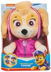 Plīša rotaļlieta Spin Master Skye, 25 cm цена и информация | Мягкие игрушки | 220.lv