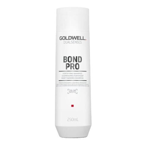 Šampūns Goldwell, 250 ml cena un informācija | Šampūni | 220.lv