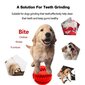 Gumijas suņu rotaļlieta, sarkana, 5cm цена и информация | Suņu rotaļlietas | 220.lv