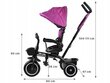 Trīsritenis Tiny Bike SP0650, violets cena un informācija | Trīsriteņi | 220.lv