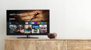 Amazon Fire B0BP9SNVH9 цена и информация | Аксессуары для телевизоров и Smart TV | 220.lv