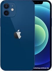 Смартфон Apple iPhone 12 128GB Blue MGJE3ET/A цена и информация | Мобильные телефоны | 220.lv