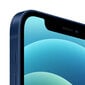 Apple iPhone 12 64GB zils Renew cena un informācija | Mobilie telefoni | 220.lv