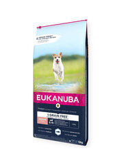 Eukanuba Grain Free Senior vecākiem mazu un vidēju šķirņu suņiem, ar okeāna zivīm, 3 kg cena un informācija | Sausā barība suņiem | 220.lv