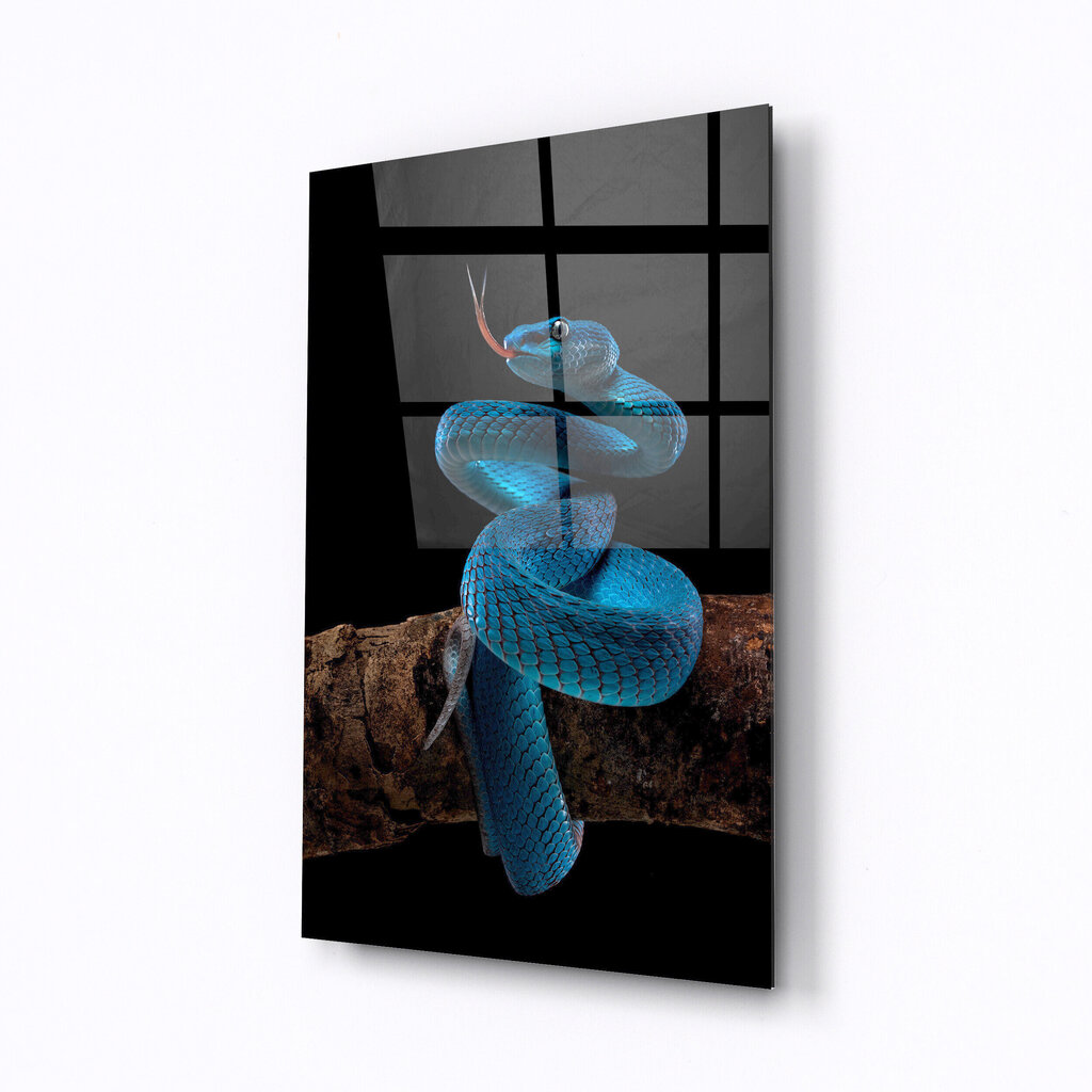 Rūdīta stikla bilde čūska uz zara цена и информация | Gleznas | 220.lv