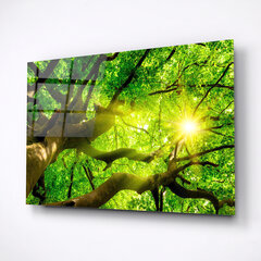 Картина из закаленного стекла Ветки деревьев цена и информация | Картины | 220.lv