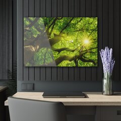 Картина из закаленного стекла Ветки деревьев цена и информация | Картины | 220.lv