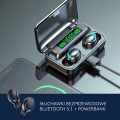 Беспроводные наушники - вкладыши BLUETOOTH 5.1 С POWERBANK цена и информация | Наушники | 220.lv