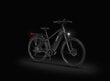 Elektriskais velosipēds Ecobike MX 500 19", 14.5Ah Greenway, tumši pelēks cena un informācija | Elektrovelosipēdi | 220.lv