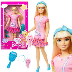 Кукла Barbie с подвижными конечностями цена и информация | Игрушки для девочек | 220.lv