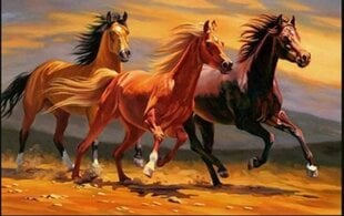 Dimanta mozaīka Norimpex Skrejošie zirgi, 40x80 cm cena un informācija | Dimantu mozaīkas | 220.lv