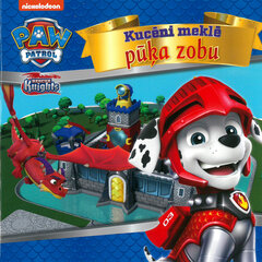 Kucēni meklē pūķa zobu. Paw Patrol cena un informācija | Pasakas | 220.lv