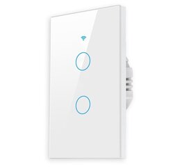 WiFi умный настенный выключатель света, 2 выключателя цена и информация | Электрические выключатели, розетки | 220.lv