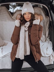 темно-коричневая зимняя лакированная пуховая куртка с капюшоном цена и информация | Женские куртки | 220.lv