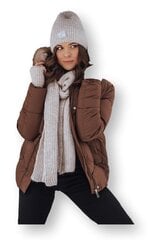 темно-коричневая зимняя лакированная пуховая куртка с капюшоном цена и информация | Женские куртки | 220.lv